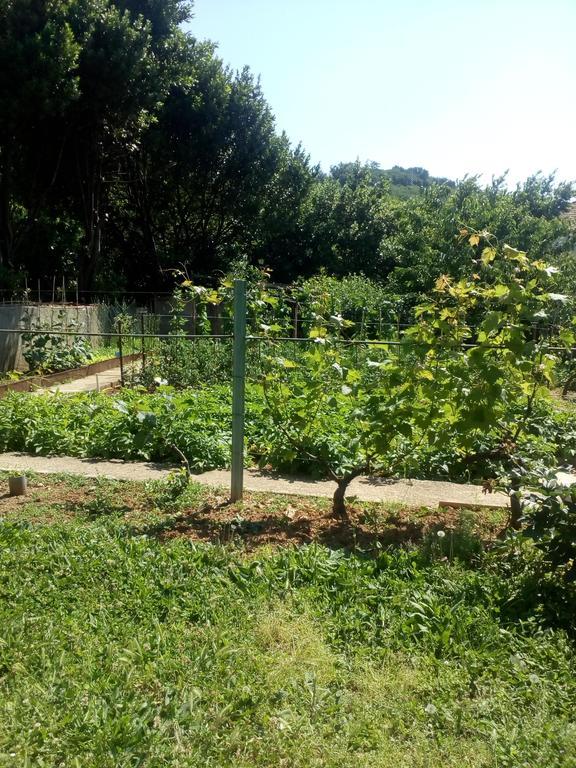 Jedro Apartmani Херцег Нови Екстериор снимка